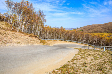 Empty road and colorful forest with mountain scenery in autumn season.