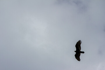 Point Pelee National Park