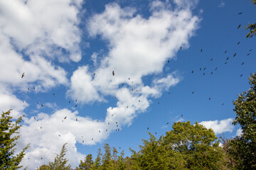 Point Pelee National Park