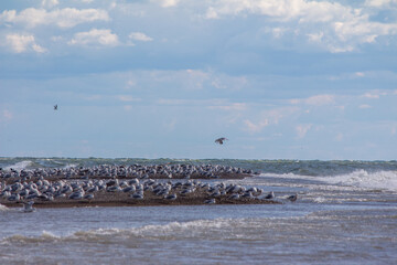 Point Pelee National Park