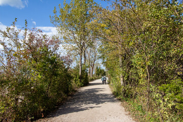 Point Pelee National Park