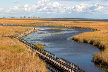 Fototapeta premium Point Pelee National Park