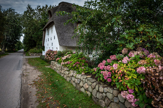 rund um die Borgsumer M&uuml;hle