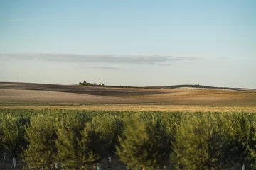 Fotobehang Paisaje urbano y de campo en jerez de la frontera cadiz © MiguelAngelJunquera