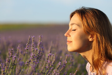 Woman smelling flowers in a lavender field at sunset