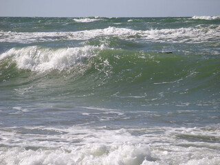 Fototapeta premium Waves in the Baltic Sea