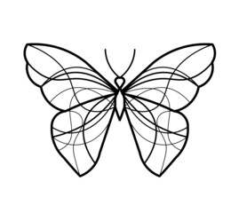 Abstract wave butterfly line icon, isolated on the white. Vector
