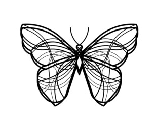 Abstract wave butterfly line icon, isolated on the white. Vector