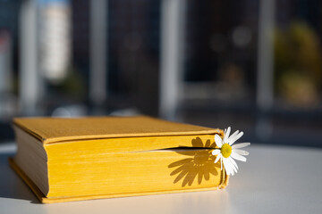 Closed yellow book with a bookmark with a chamomile flower lies on a table in a cafe, in the...