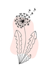 Silhouette of a flower on a background of spot in pastel colors. Dandelion. Botanical element for decoration. Circuit. Doodle. Vector. Drawn by hand.