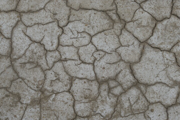 Strukturen des salzigen Sandbodens in der Camargue
