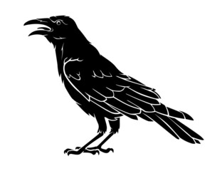 Crow Bird, Isolated Animal Silhouette