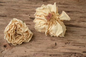 dried rose flowers on the wooden table with copy space