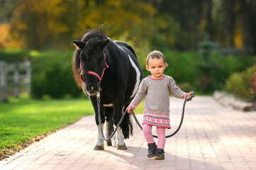 little girl walking pony on a lead on a farm