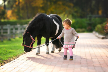 funny little girl walking pony on a lead