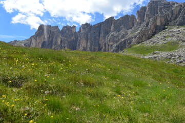 A meadow and mountains behind in Southtyrol 