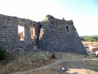 Castillo y palacio de San Leonardo de Yagüe 