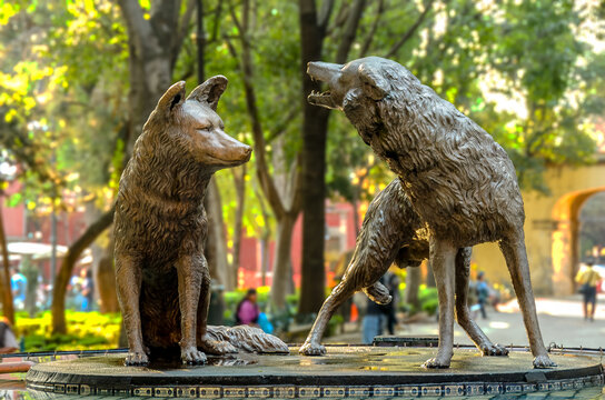 Coyotes fountain in Coyoacan, Mexico City