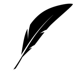 Black feather as icon isolated on white. Vector