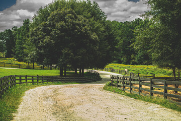 Rural countryside farm with dirt road winding around large green trees with flower filled meadows and cloudy sky in background