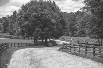 Curving dirt road lined with wooden fence and trees on farm with clouds in background in Georgia, vintage landscape and farming in countryside