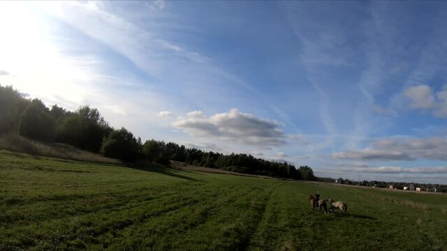 flying on an fpv drone behind a horse, a girl on a horse, in a green field, against the background of a forest, bushes, trees, blue sky, white clouds