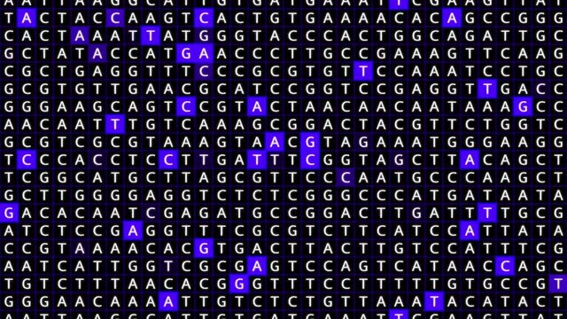 Loopable: Genetic mapping DNA sequence analysis abstract background with letters A,G,C,T in sliding grid with blue squares. Big genomic data analysis concept.