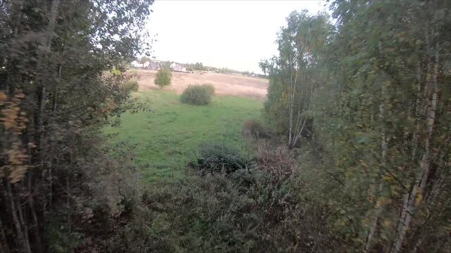 flying on an fpv drone behind a horse, a girl on a horse, in a green field, against the background of a forest, bushes, trees, blue sky, white clouds