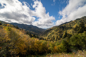 Naklejka premium Smoky Mountains National Park Overlook