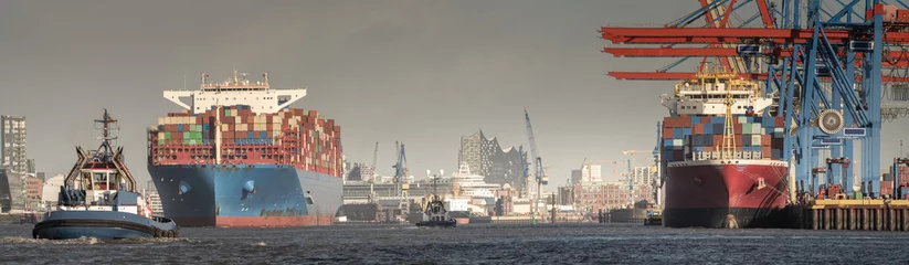 Hamburger Hafenpanorama mit Containerschiffen und Wahrzeichen © Jonas Weinitschke