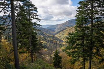 Smoky Mountains National Park Overlook
