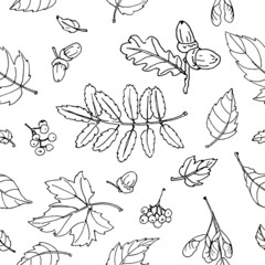 Black and white outline rowan, maple and oak leaves and berries. Seamless vector pattern