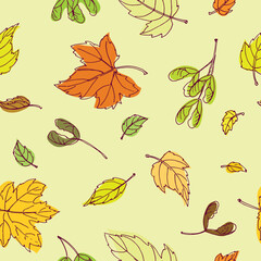 Colorful outline maple leaves in yellow background. Seamless vector pattern