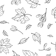 black and white outline maple leaves. Seamless vector pattern