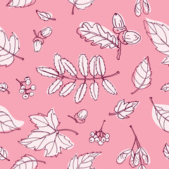 Outline rowan, maple and oak leaves and berries in pink background. Seamless vector pattern