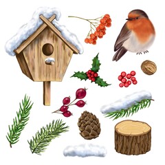 Winter clipart on a white background. Illustration.