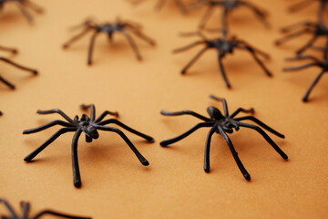 Close up spiders. Halloween background 