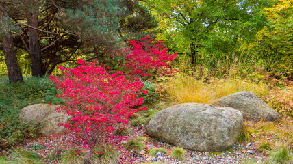 Herbstlandschaft