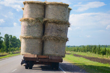 A truck filled to the brim transports round bales of hay