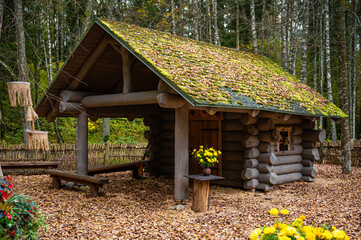 small mystic wooden log house in the autumn forest, Tervete, Latvia