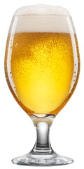Cold glass of beer with white foam and gas bubbles inside. File contains clipping path.