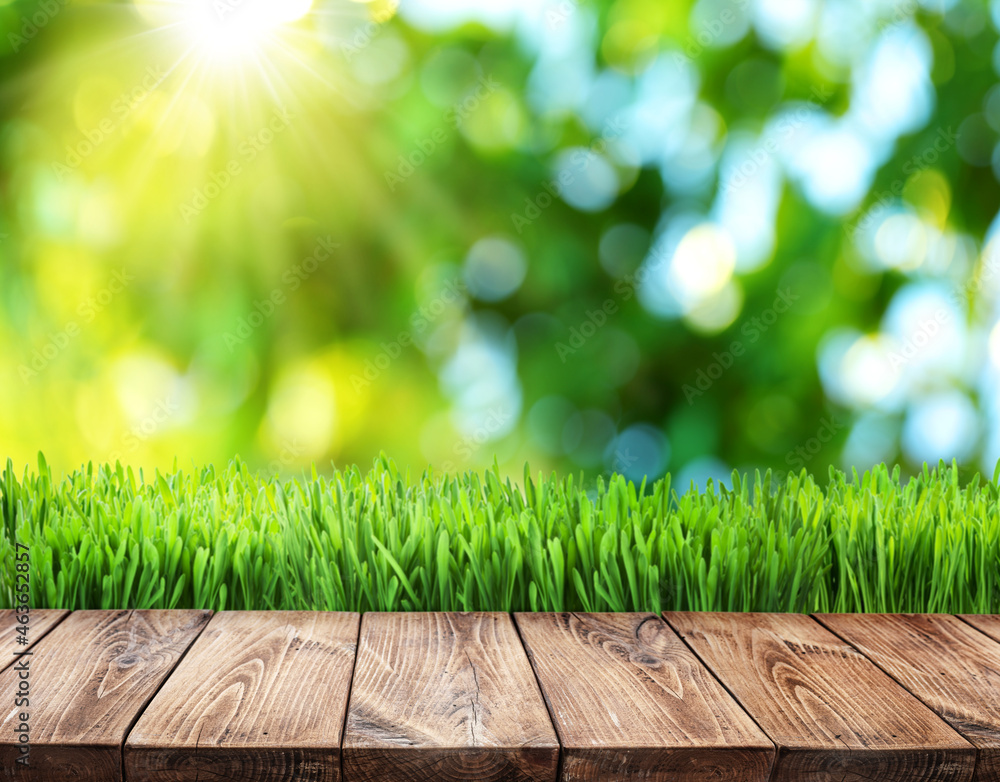 Wall mural bokeh sunny nature background and wood board in foreground. it is possible to place your product.