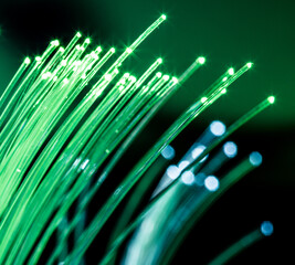 Bundle of optical fibers with green lights.