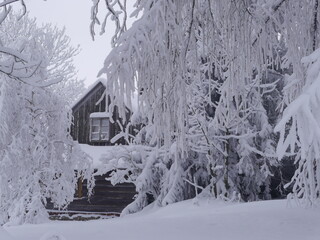 śnieżna, piękna, biała zima krajobraz w Beskidach - 463653251