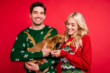 Photo of cheerful positive couple hold little cute dog wear ugly ornament pullover isolated red color background