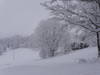 śnieżna, piękna, biała zima krajobraz w Beskidach - 463653612