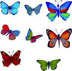 Obraz na płótnie Canvas vector set of beautiful butterflies
