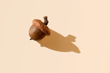 Acorn on pastel background with long shadows. Autumn season minimal background. Copy space....