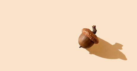 Acorn on pastel background with long shadows. Autumn. Thanksgiving day. Green living and...