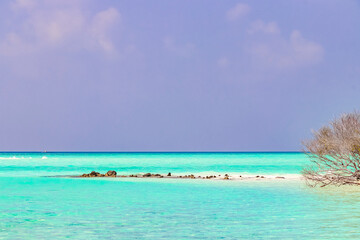 Fototapeta na wymiar Natural tropical turquoise sandbank islands Madivaru Finolhu Rasdhoo Atoll Maldives.